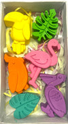 Jumbo Bird Crayons - Set of 6