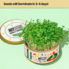 Grow In A Can | Pack of 4 (Basil, Cilantro, Fenugreek, Oregano)