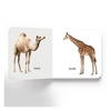 Lovely Board Books - Animals