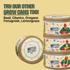 Grow In A Can | Oregano