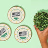 Grow In A Can | Pack of 4 (Basil, Cilantro, Fenugreek, Oregano)