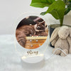 Acrylic LED Night Lamp | Mighty Paws