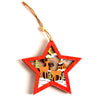 Starlight Snow Ornament | Star