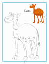 Creative Colouring Book - Animals