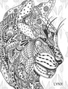 Creative Doodle Colouring - Animals & Birds