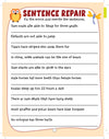 Home Learning Book With Joyful Activities - 6+