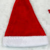 Thick Plush Santa Hat (Adults)