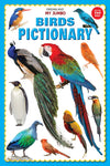 My Jumbo Birds Pictionary