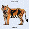 Touch and Feel - Jungle Animals