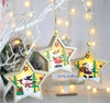 Shimmer Starry Ornament | Set Of 3