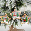 Shimmer Starry Ornament | Set Of 3